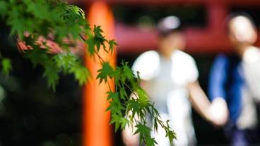 観光スポット / 12