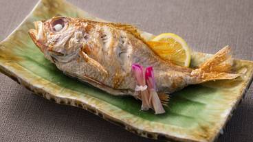 食事・飲み物 / 22