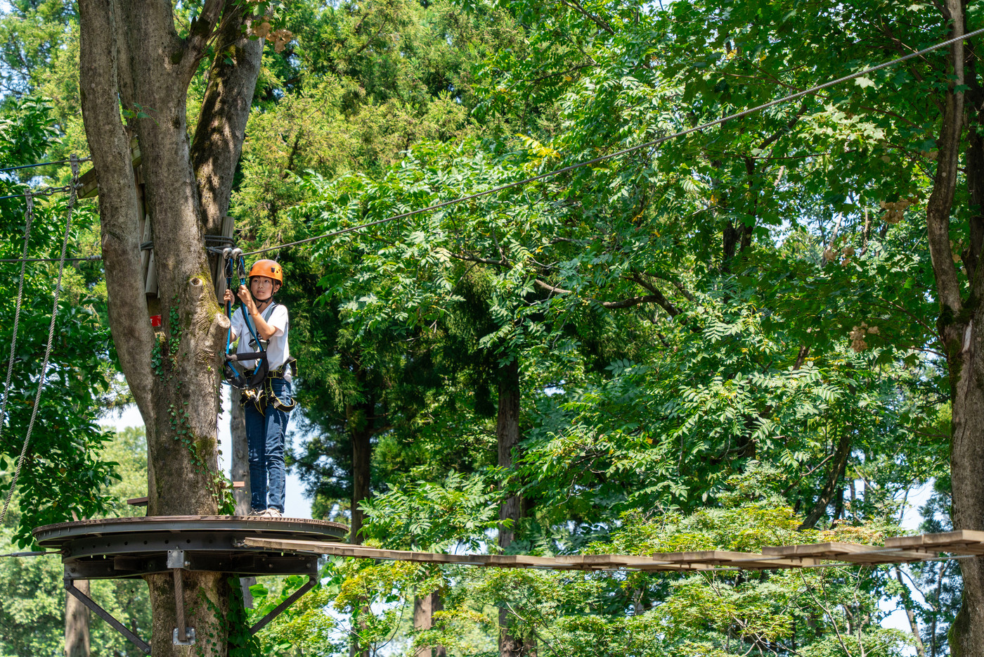 夏休みにアスレチックで遊ぶアジア人の小学生