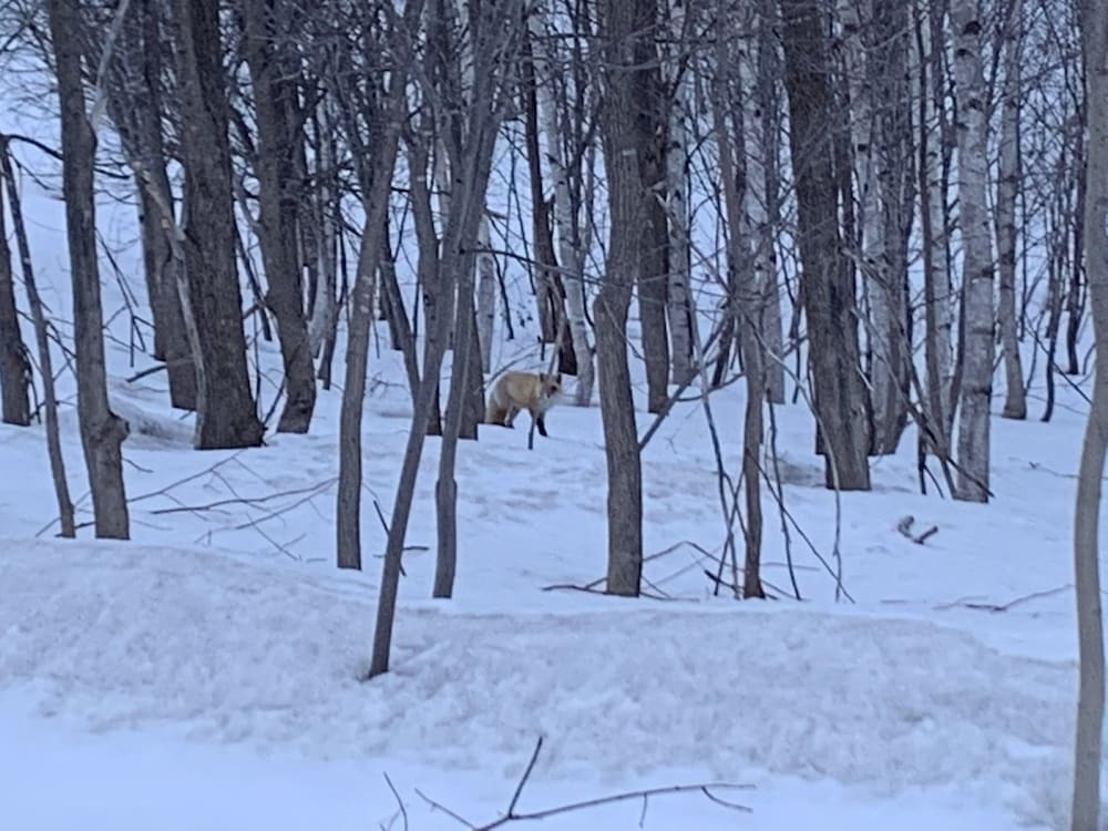施設からの眺望