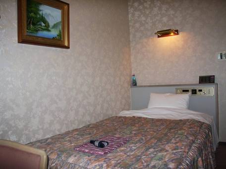 天然温泉付 ホテル プラトン / 4