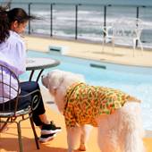 レジーナリゾート鴨川（千葉県 リゾートホテル） / 5