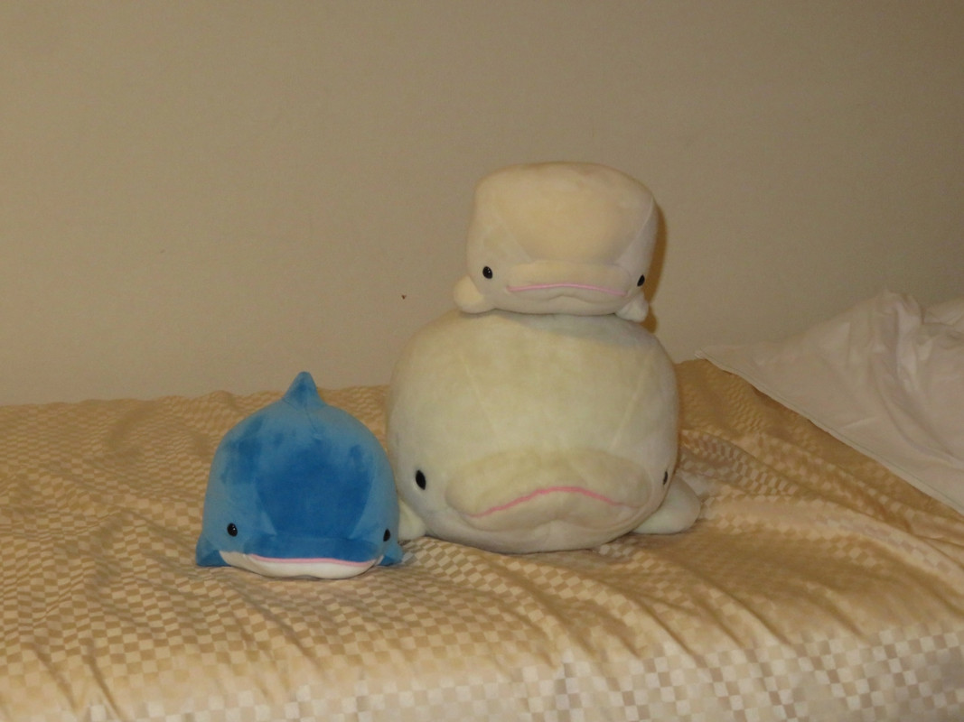 小さいの2つはくじで引いたもの。大きいのは部屋にありました。