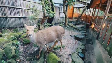 施設の敷地 / 17