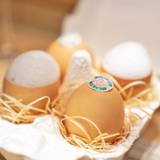 SUGALABO（スガラボ）