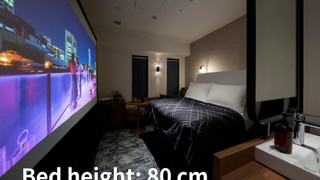 スーペリア シングルルーム(プロジェクター付きシアタールーム)