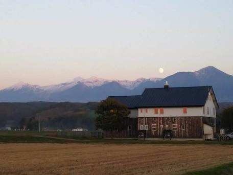 Gufoの森 上富良野 / 1