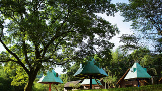 ツリー型ハウス（ツイン）