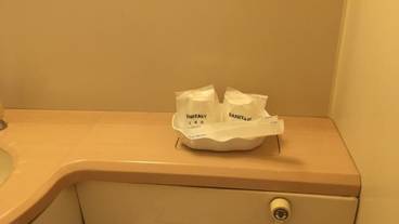 バスルームの設備 / 29