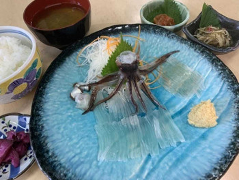 函館朝市の目の前！可愛いペットグッズのあるおしゃれホテル4228921