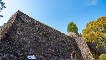 高知城 石垣 / 6