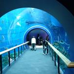 日本唯一の展示！リニューアルした魅惑の滋賀「琵琶湖博物館」