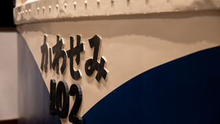 KAWASEMI (Stay in a train) 禁煙