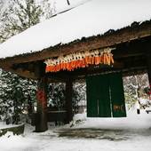 黒川温泉 里の湯 和らく(熊本県 旅館) / 3