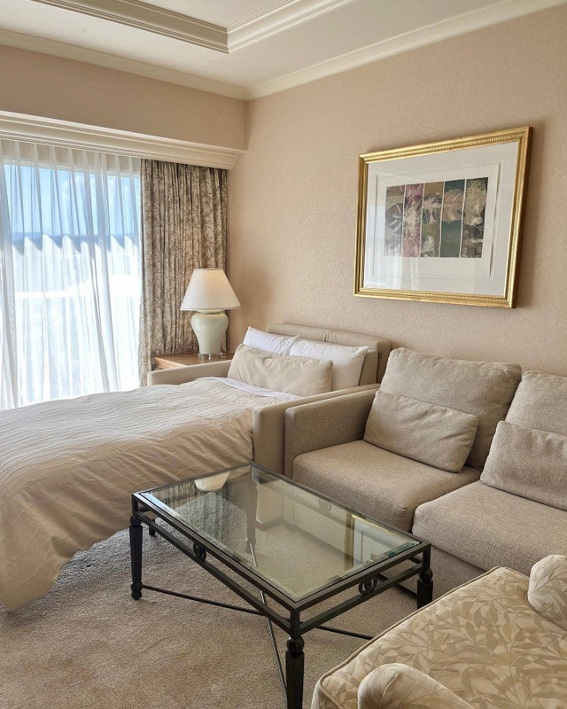 meilleur__17さんの写真 / 1