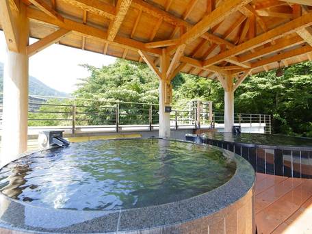 箱根湯本温泉 天成園 / 2