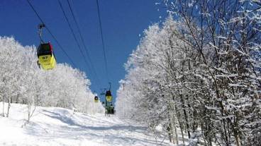 観光スポット / 16