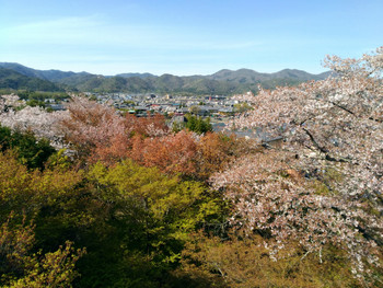 法輪寺2374429