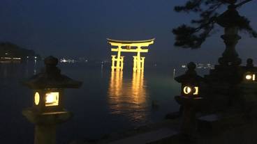 ランド ビュー / 14