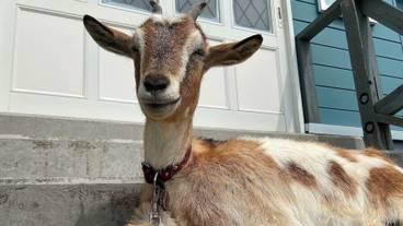 施設の敷地 / 11