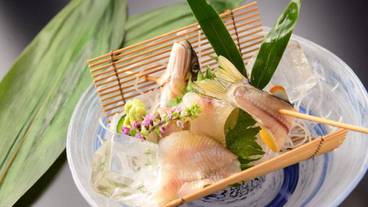 食事・飲み物 / 7