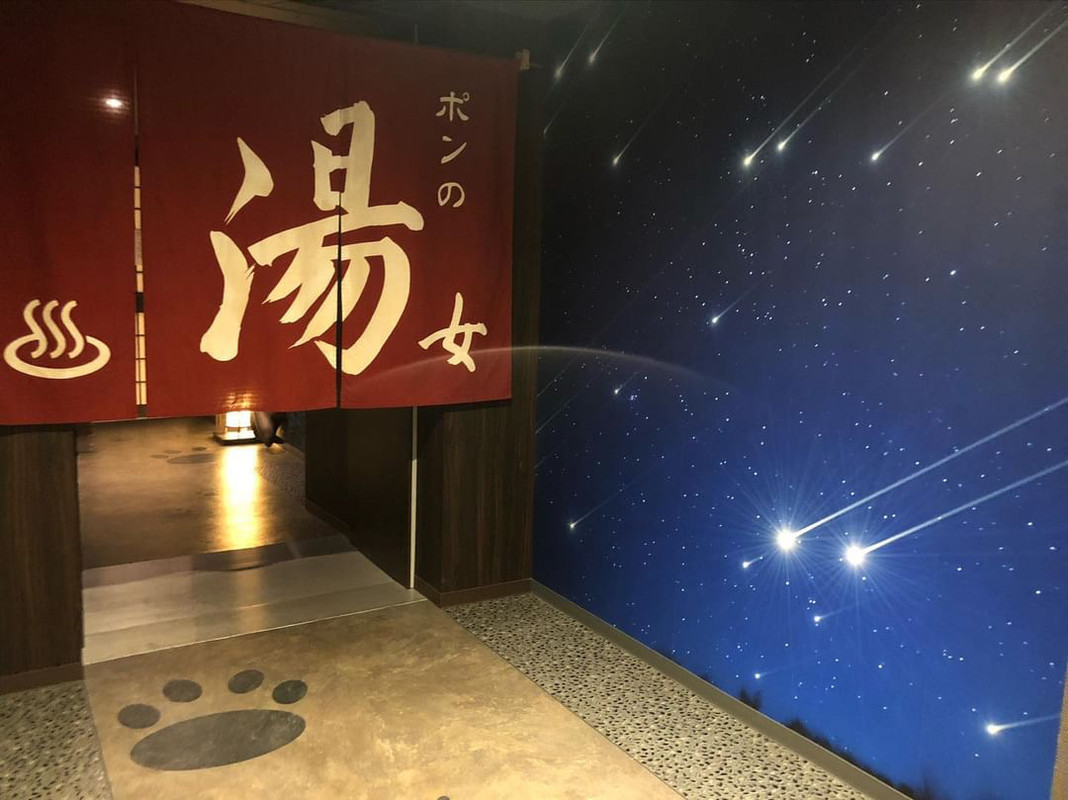 k.flower_family.tripさんの写真 / 2