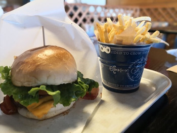 「カフェ＆ダイナー アイラナ」 料理 100628210 アイラナバーガー950円