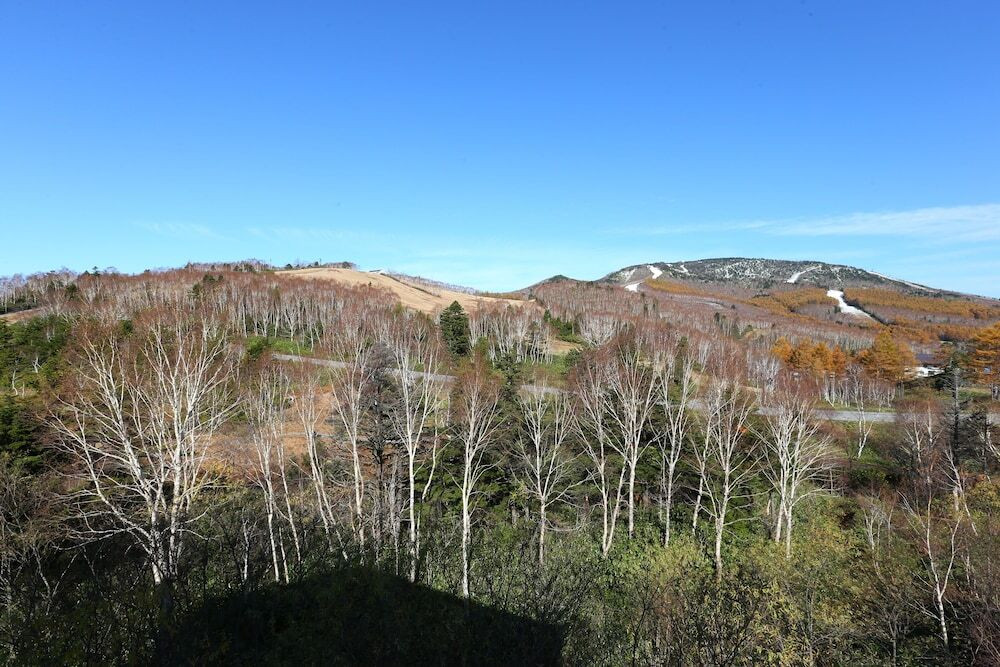 施設からの眺望