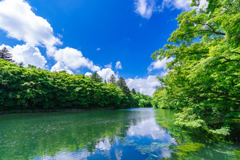 Unba Pond in early summer (Nagano Karuizawa)