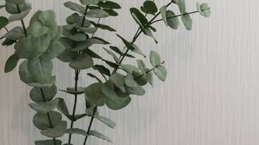 客室の設備とサービス / 36