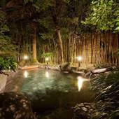 下賀茂温泉 花のおもてなし南楽（静岡県 旅館） / 2