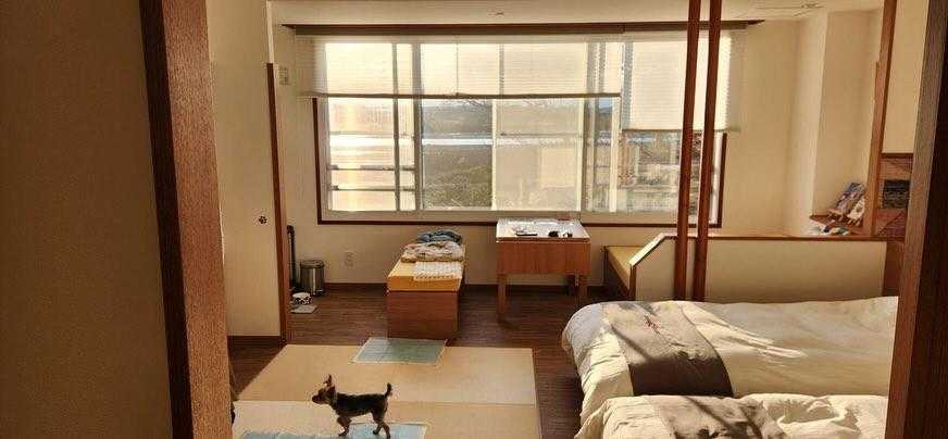 ケージ、トイレシーツ、エチケット袋、食器、おもちゃ、消臭スプレーなど、愛犬用のアメニティが充実。人も犬も快適に寛げそう / 3