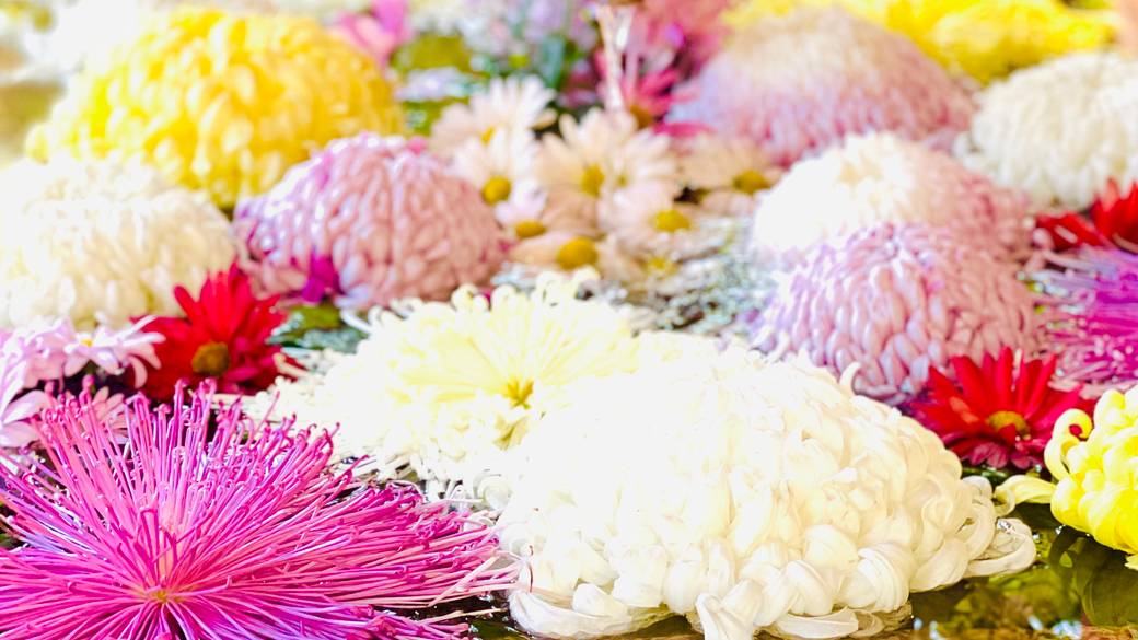 庭園レストランで
鎌倉ランチを / 1