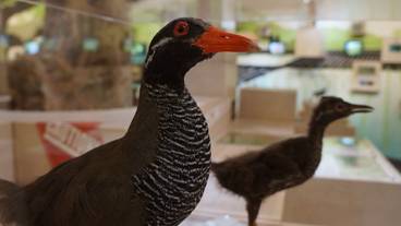 観光スポット / 9