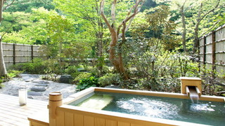 庭園露天風呂付特別室（本間10畳） [スタンダード] [和室] [禁煙]