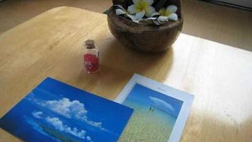 客室の設備とサービス / 11