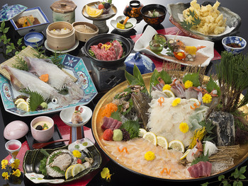 個室で味わう呼子のイカ&自家製いかしゅうまい4229665