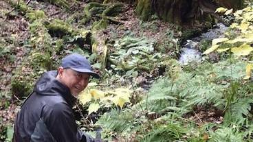 観光スポット / 13