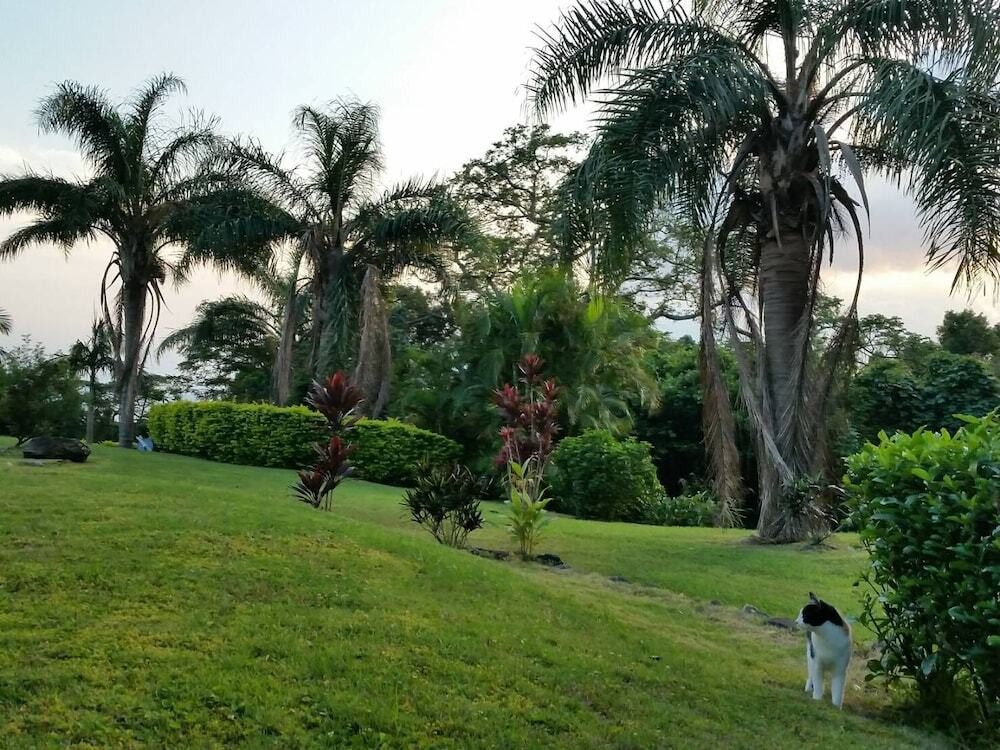 バルコニーからの眺望