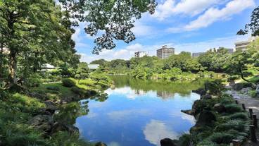 シティ ビュー / 12