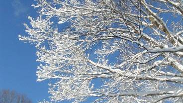 施設からの眺望 / 19