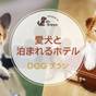 【ドッグフレンドリールーム】軽井沢　Basic Stayプラン～朝食付～ | 軽井沢マリオットホテル