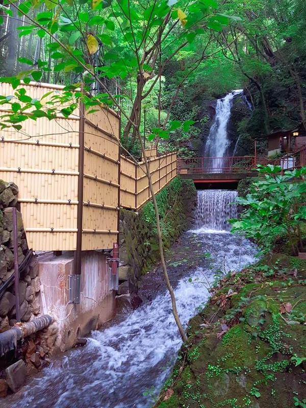 a_yht1oさんの写真 / 3