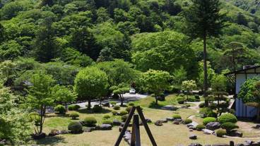 マウンテン ビュー / 7