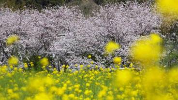 施設の敷地 / 19