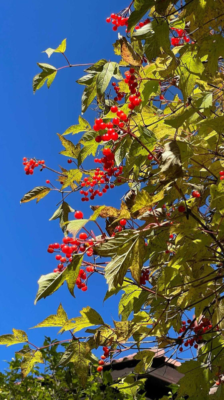 i.am.izumiさんの写真 / 8