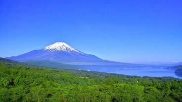 子供向けアクティビティ / 7