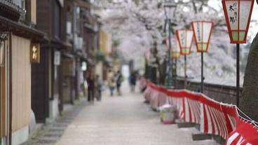 施設の入り口 / 13