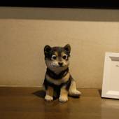 DESIGN HOTEL FOLON（長野県 リゾートホテル） / 3