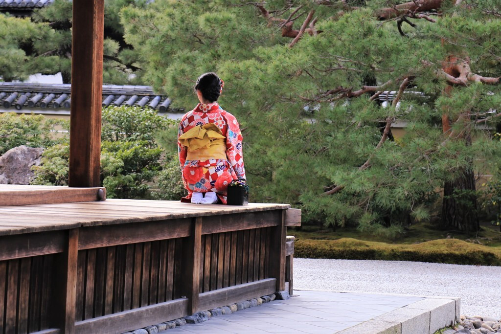京都の一人旅で、自分を見つめ直してみませんか？2981895